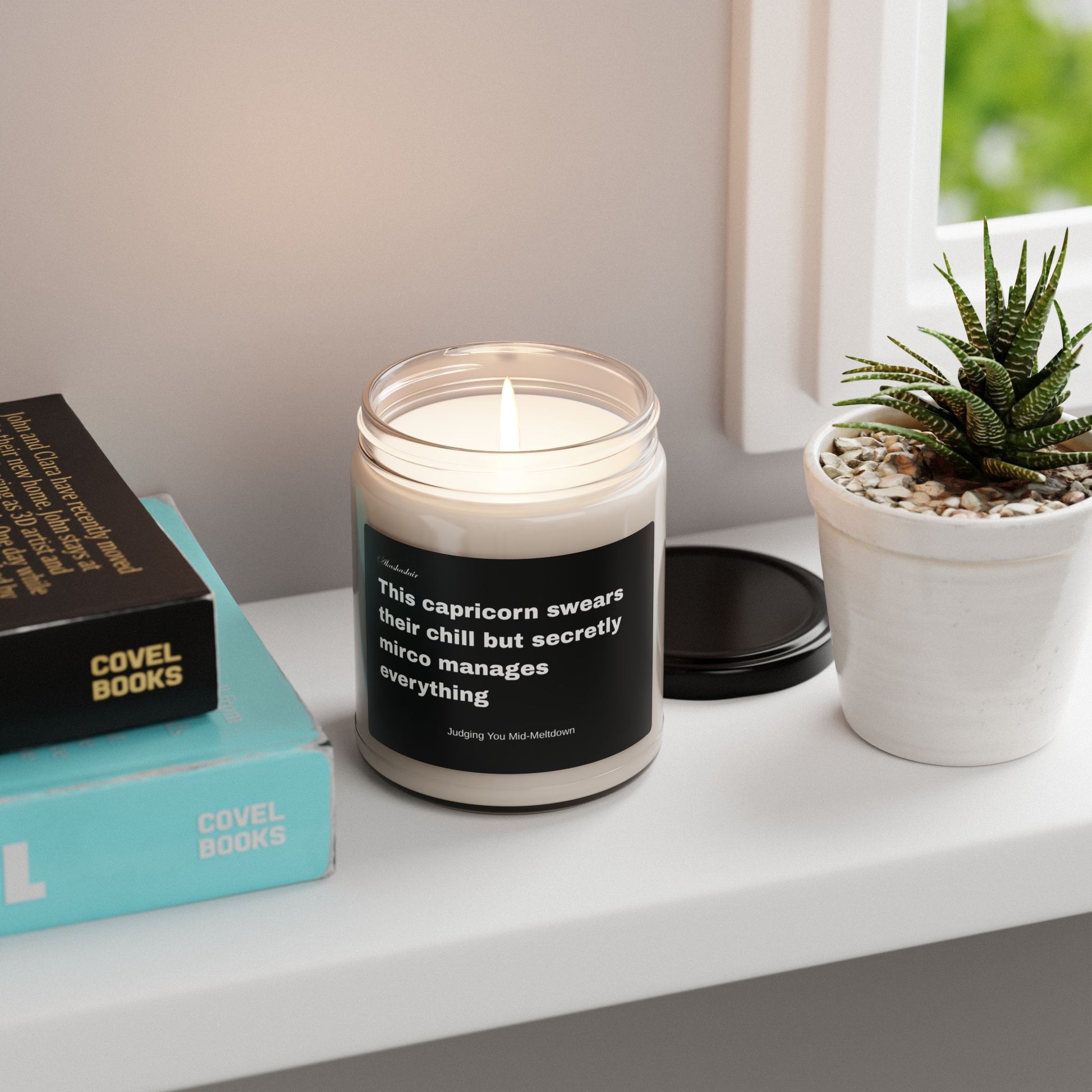 Capricorn Scented Soy Candle - Judging You Mid-Meltdown